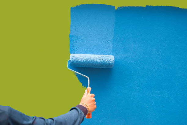 Best Basement Mold Removal  in Burkburnett, TX